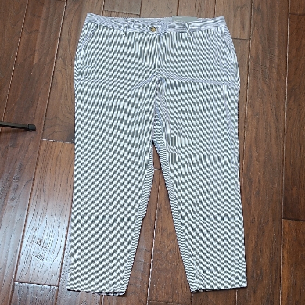 Talbots Striped Blue and White Ankle Pants